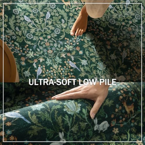 Washable Area Rugs for Living Room: 5x7 Rug Stain Resistant Non Slip Low Pile Lightweight Soft Carpets Rugs for Bedroom Kitchen Dining Room Nursery Kids Room Farmhouse Home Office Indoor - Image 5