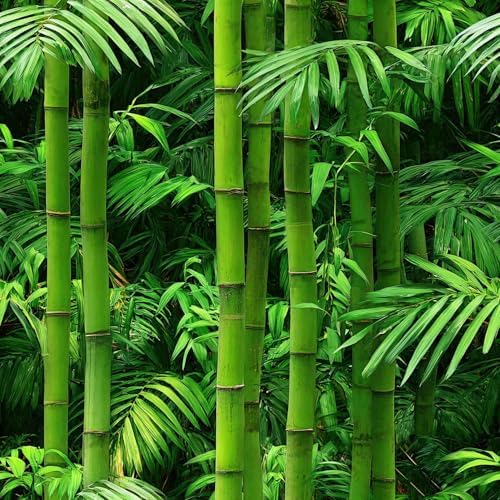 Vintage Green Bamboo Wallpaper Botanical Peel and Stick Wallpaper | Lush fresh green bamboo and palm foliage print, Removable waterproof vinyl wall covering, bedroom accent wall decor by Unknown