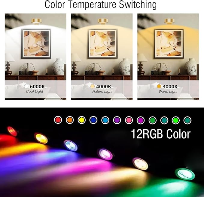 Xuolder Picture Lights for Wall,2000mAh Rechargeable Battery Poster Lights LED Magnetic Painting Light with Remote Control,3 Color Temps&12 RGB Timer Dimmable Wall Light for Art Display Wall Decor - Image 2