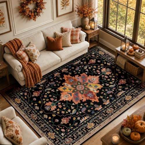 RELEANY Washable Area Rug, 8'x10', Black/Colorful by RELEANY