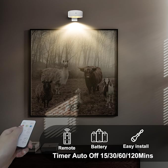 Xuolder Battery Operated Picture Lights Remote Wireless Magnetic Home Decor | 3-Pack Painting Light with 3 Lighting Modes,Timer&Dimmable Art Display Light for Artworking Frame Portrait Puck Lights-White - Image 4