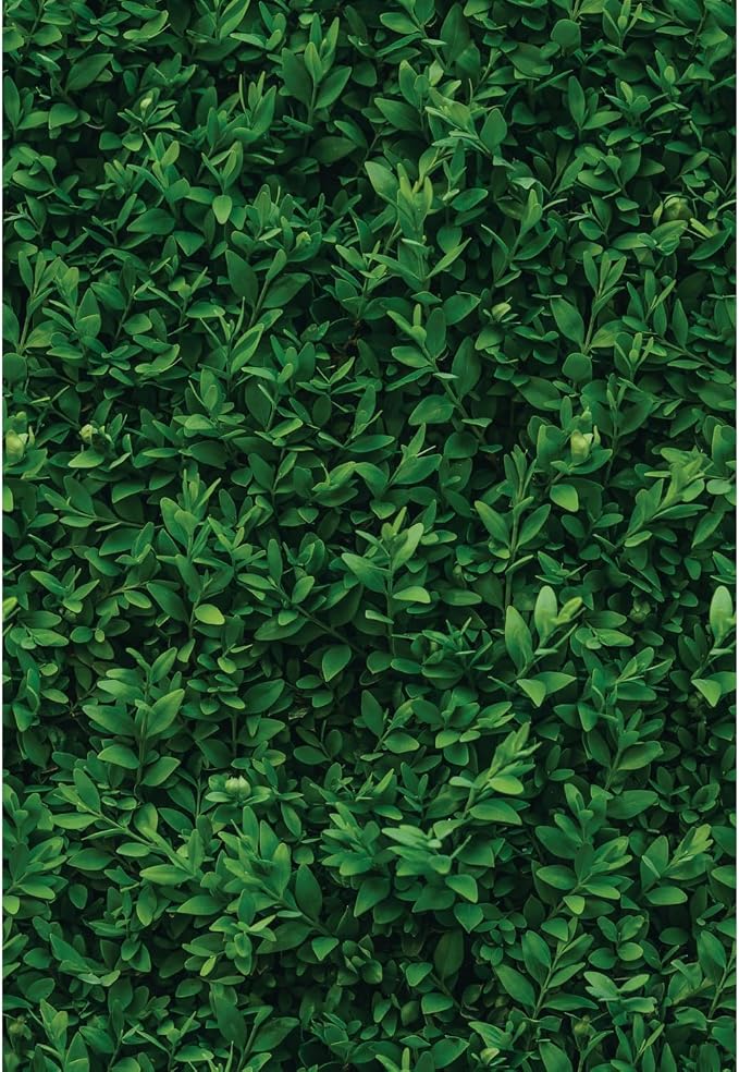 Main Street Peel and Stick Wallpaper Sheets, Plant Wall, 12-Pack | 11 x 16 in sheet size; Covers up to 14.67 sq ft; Eco-friendly paper material; No paste or additional adhesive required by MainStreet