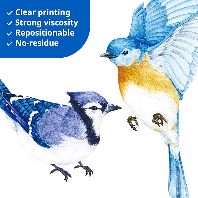 DECOWALL Colorful Birds Wall Stickers Decals Peel and Stick (DS2-8042) | Hand-drawn watercolor songbirds with realistic details; removable nature decor for living room, bedroom, nursery and office - Image 4