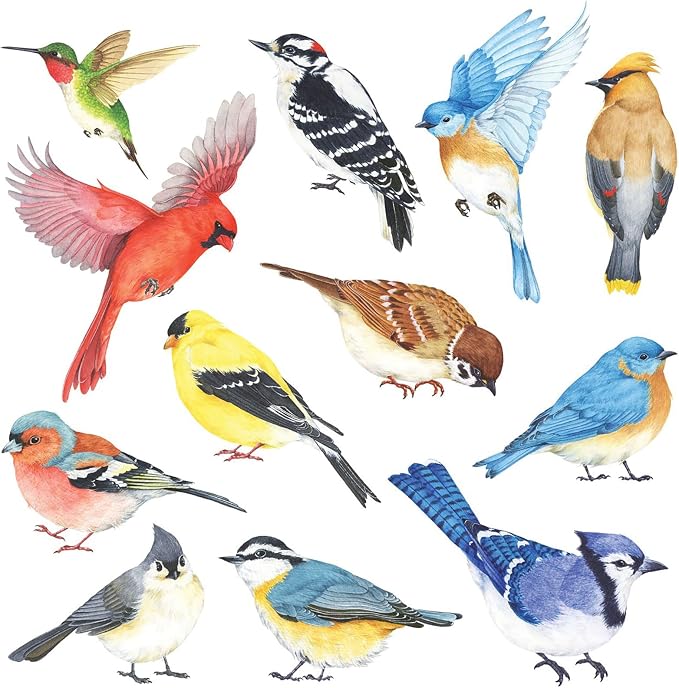 DECOWALL Colorful Birds Wall Stickers Decals Peel and Stick (DS2-8042) | Hand-drawn watercolor songbirds with realistic details; removable nature decor for living room, bedroom, nursery and office by DECOWALL