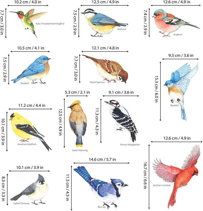 DECOWALL Colorful Birds Wall Stickers Decals Peel and Stick (DS2-8042) | Hand-drawn watercolor songbirds with realistic details; removable nature decor for living room, bedroom, nursery and office - Image 6