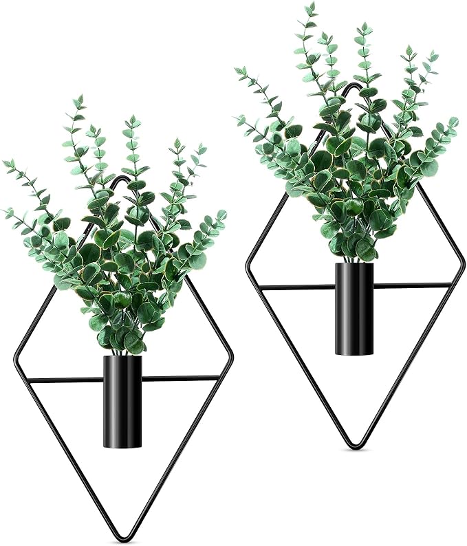 Canlierr 4 Pcs Wall Decor Hanging Planters, Eucalyptus, Black by Canlierr