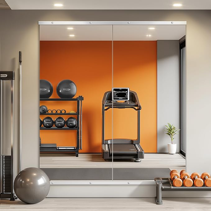 Home Gym Mirror for Wall, 56x28x2PCS Frameless Full Length Mirror, Silver by TRAHOME