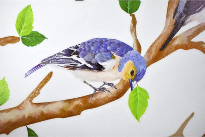 Little Birds on Tree Branches Wall Decal Vinyl Wall Sticker (34 x 34 Inch) | Removable Peel and Stick Art Murals Decor for Bedroom Offices Classroom Living Room Background - Image 7