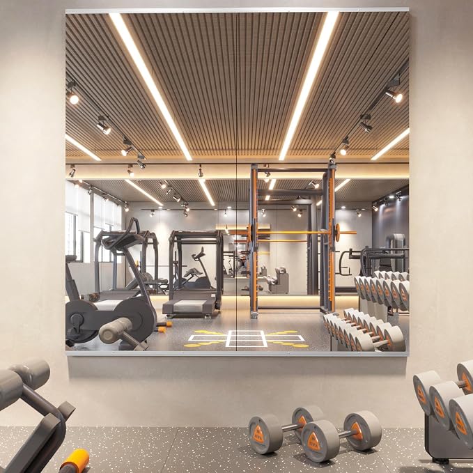 pertetey 67 x 24 in Home Gym Mirrors, Frameless, 2-Pack by PERTETEY